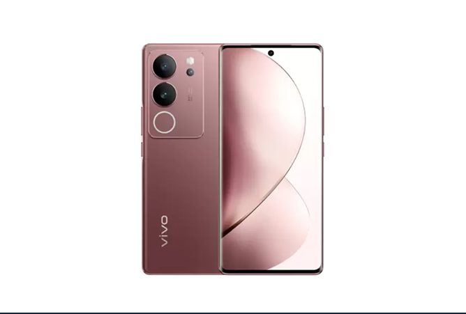 Vivo Repair